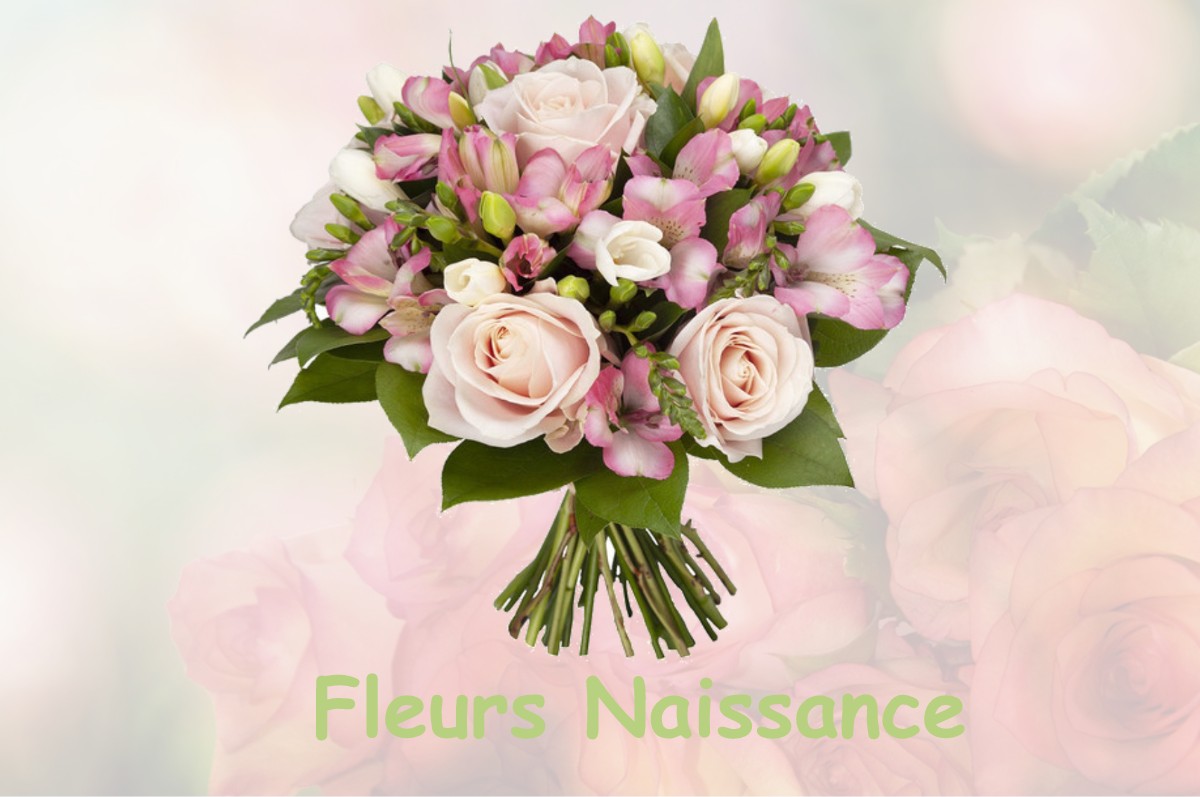 fleurs naissance WARLINCOURT-LES-PAS